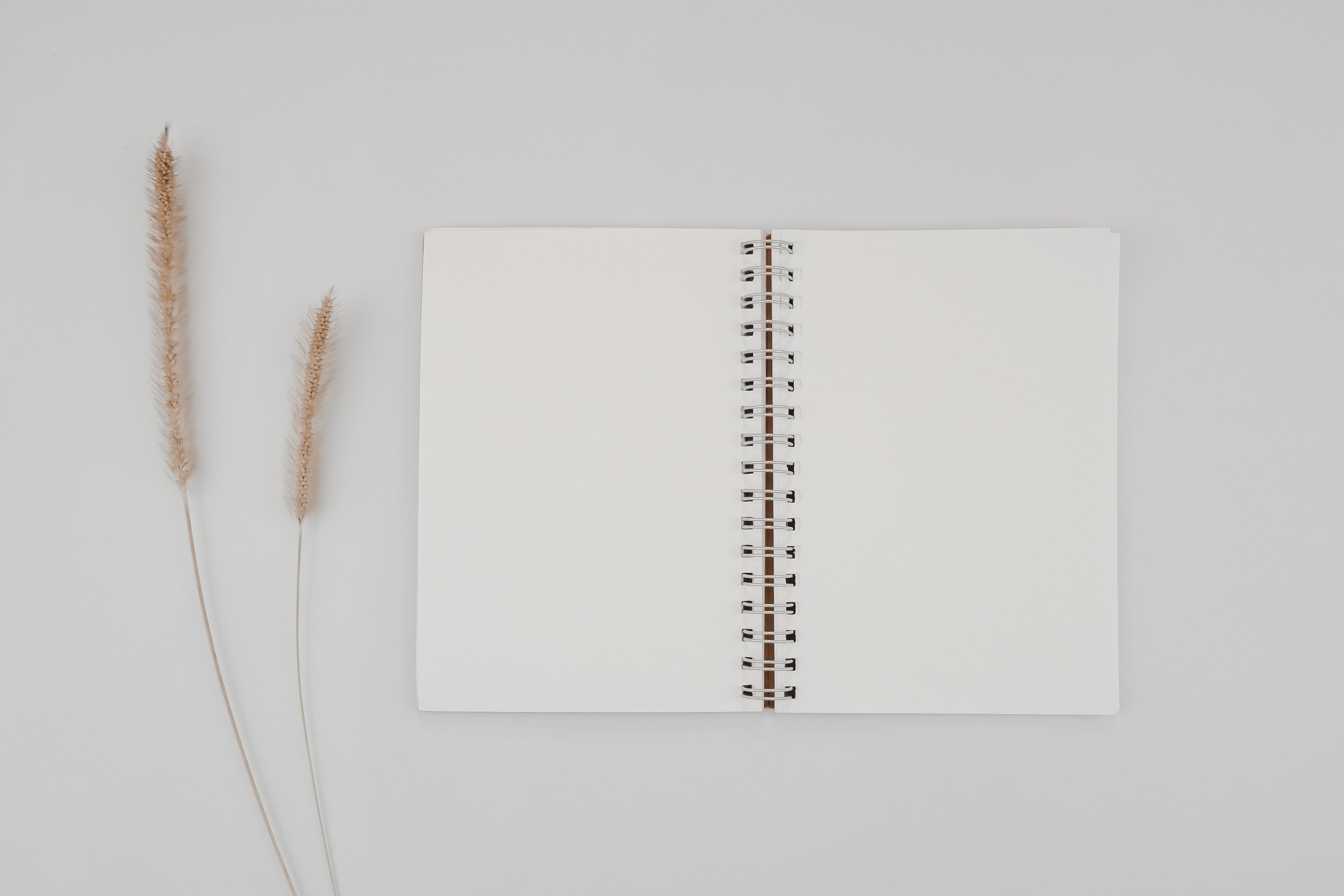 Blank Spiral Bound Sketchbook with Wheat Spikelets 